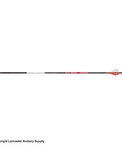 Bloodsport Prosecutor Fletched Arrows